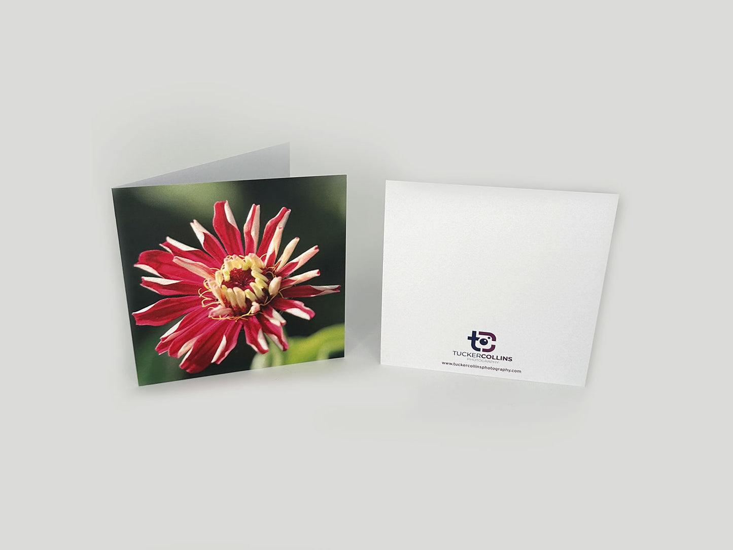 Garden Flower Notecard Pack