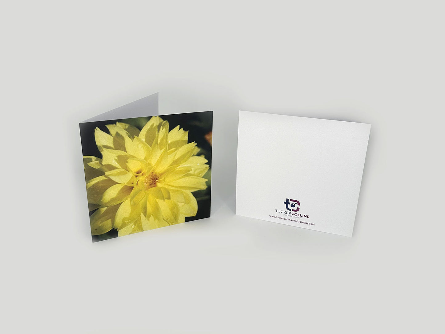 Garden Flower Notecard Pack