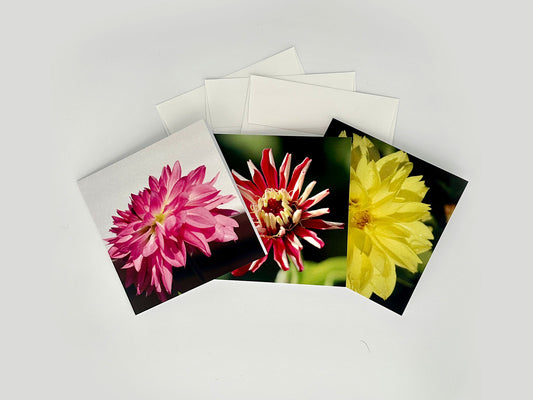 Garden Flower Notecard Pack