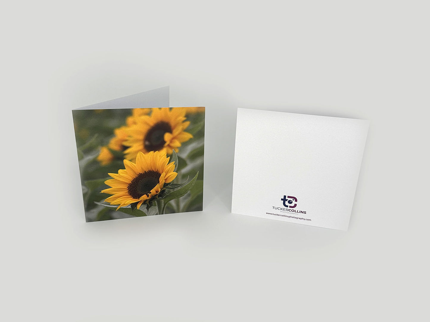 Sunflower Notecard Pack