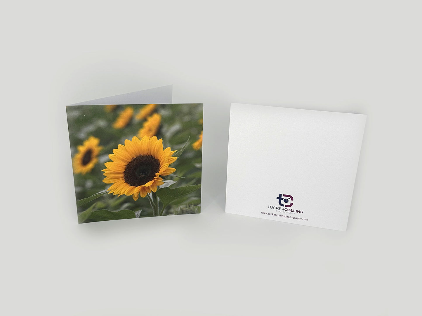 Sunflower Notecard Pack